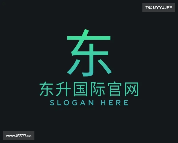 解读东升国际官网
